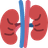 Kidney Screening